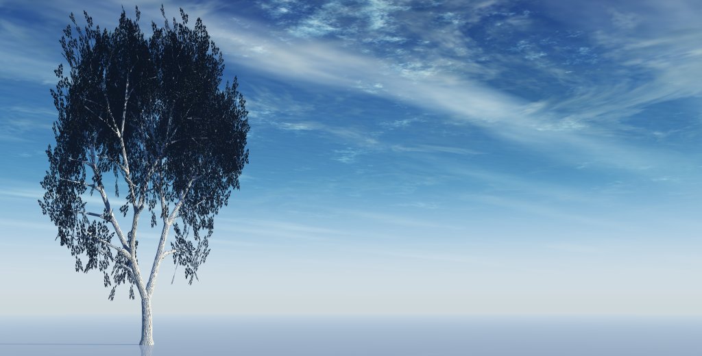Business Psychology Solutions